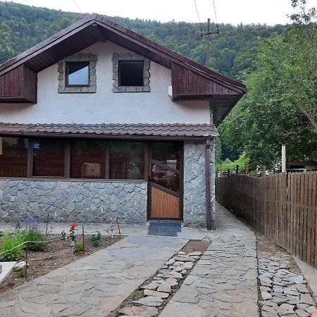 Casa Crissio Villa Sinaia Exterior photo